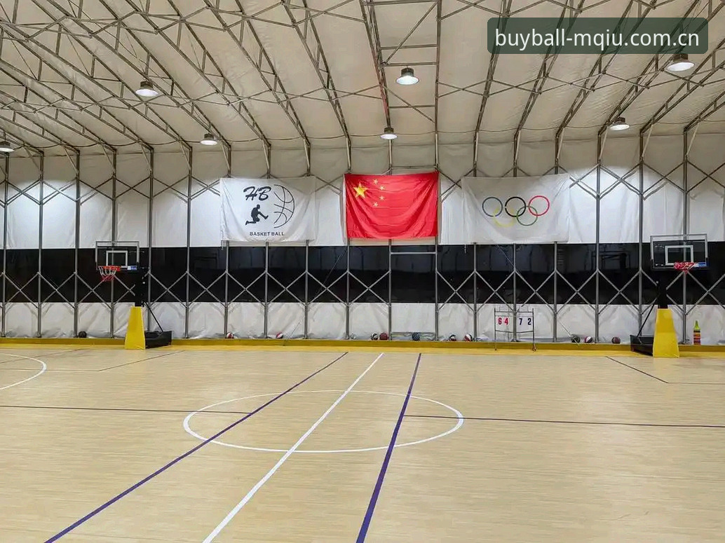 买球网怎么样 买球网怎么样?探索2024年体育爱好者的创新选择与体验报告